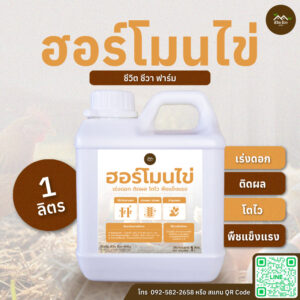 ฮอร์โมนไข่