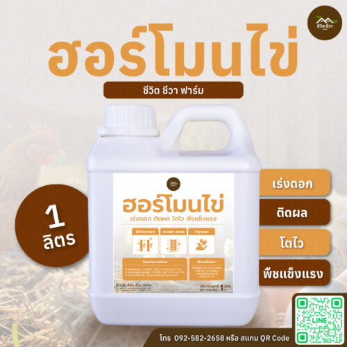 ฮอร์โมนไข่