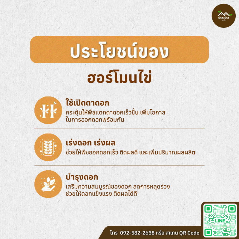 ฮอร์โมนไข่