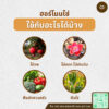 ฮอร์โมนไข่