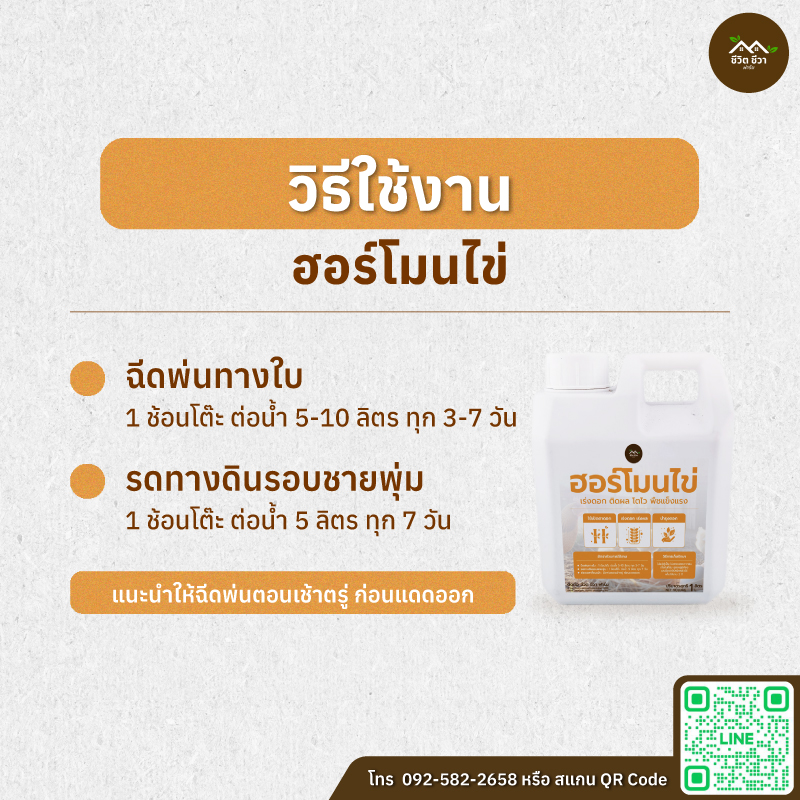 ฮอร์โมนไข่