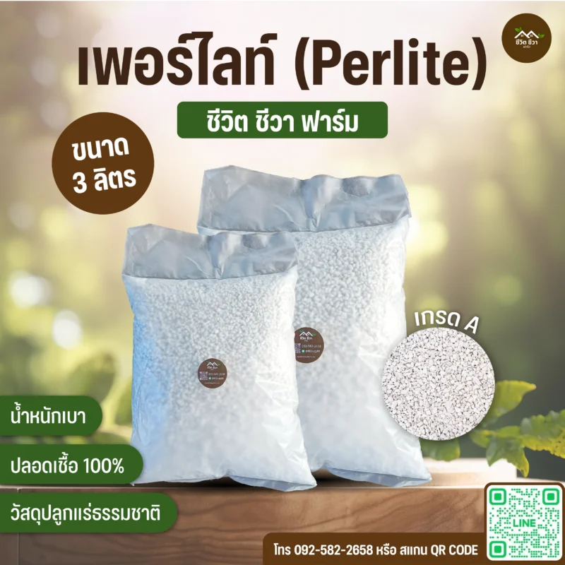 เพอร์ไลท์ Perlite