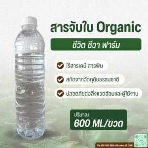 สารจับใบ Organic