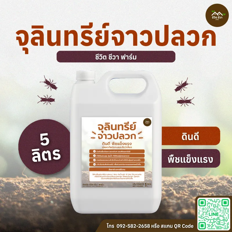 จุลินทรีย์จาวปลวก