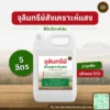 จุลินทรีย์สังเคราะห์แสง