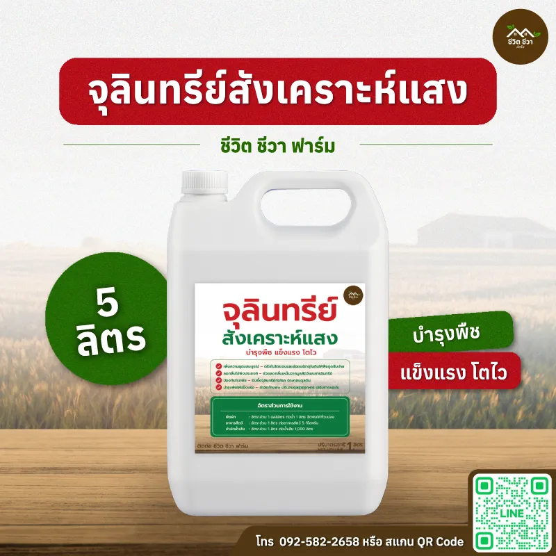 จุลินทรีย์สังเคราะห์แสง