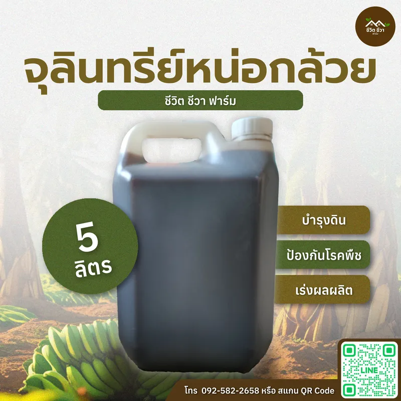 จุลินทรีย์หน่อกล้วย
