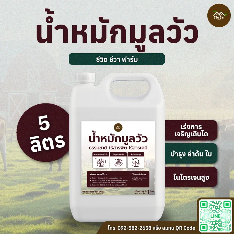 น้ำหมักมูลวัว