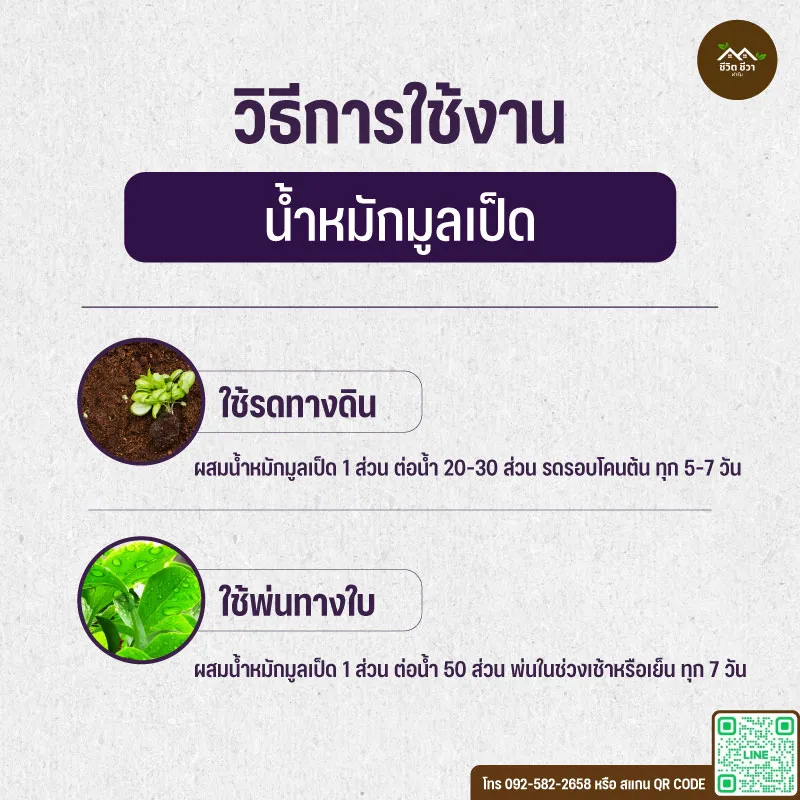 น้ำหมักมูลเป็ด