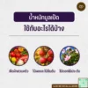 น้ำหมักมูลเป็ด