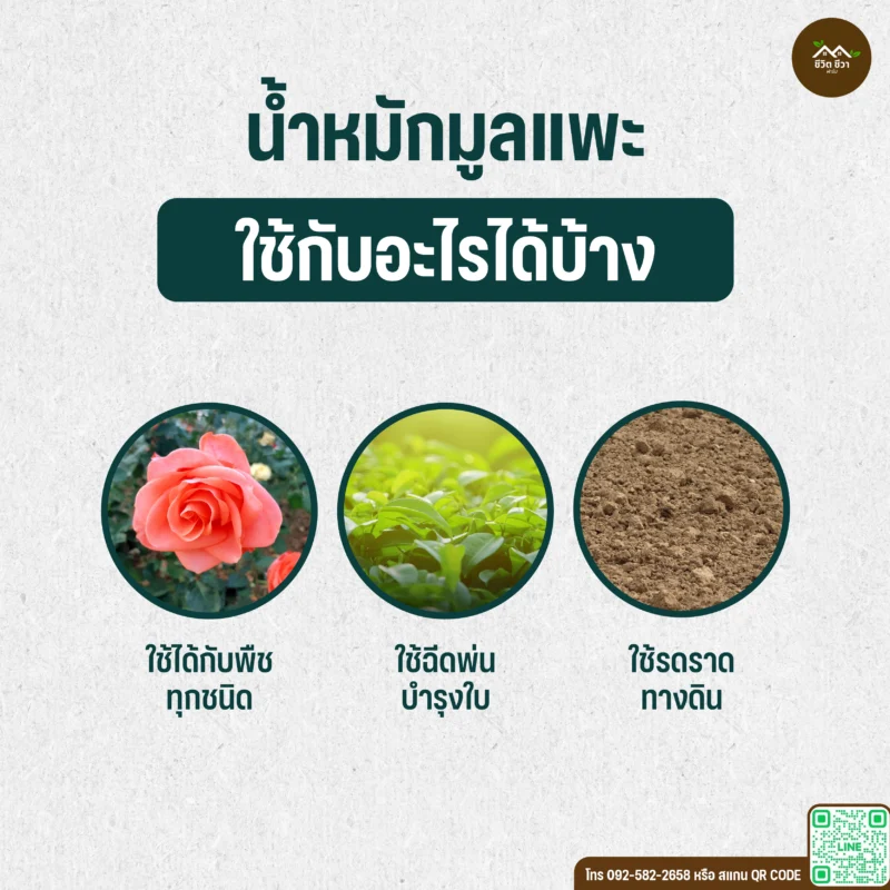 น้ำหมักมูลแพะ