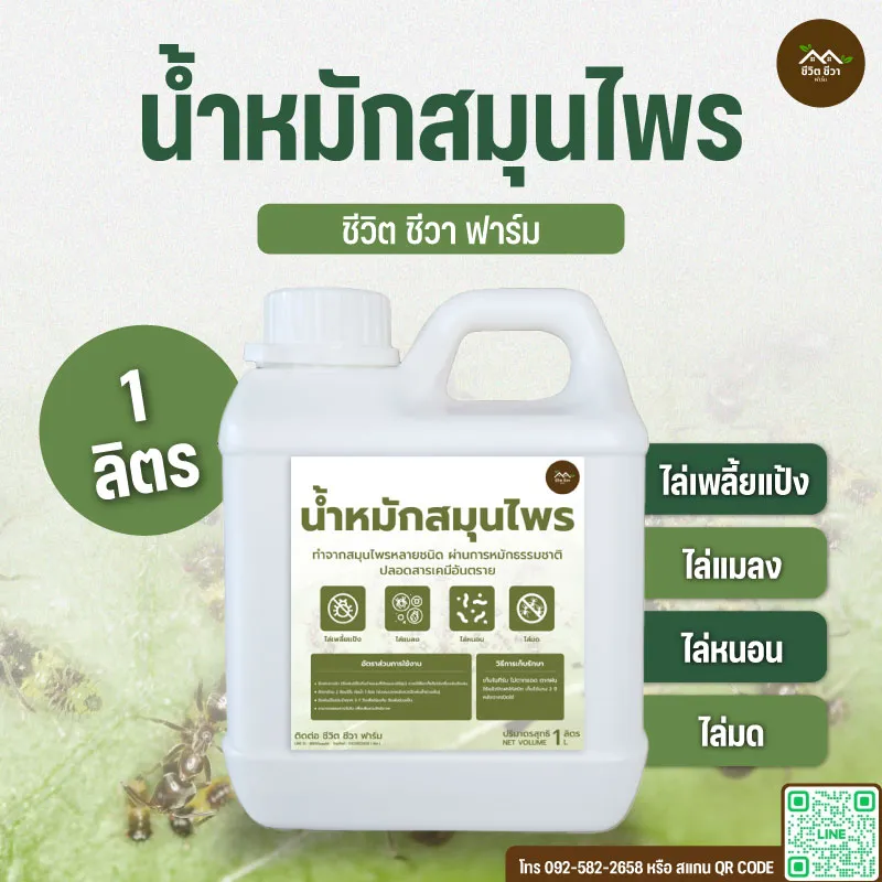 น้ำหมักสมุนไพร ไล่แมลง