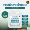 สารสกัดสาหร่ายทะเล