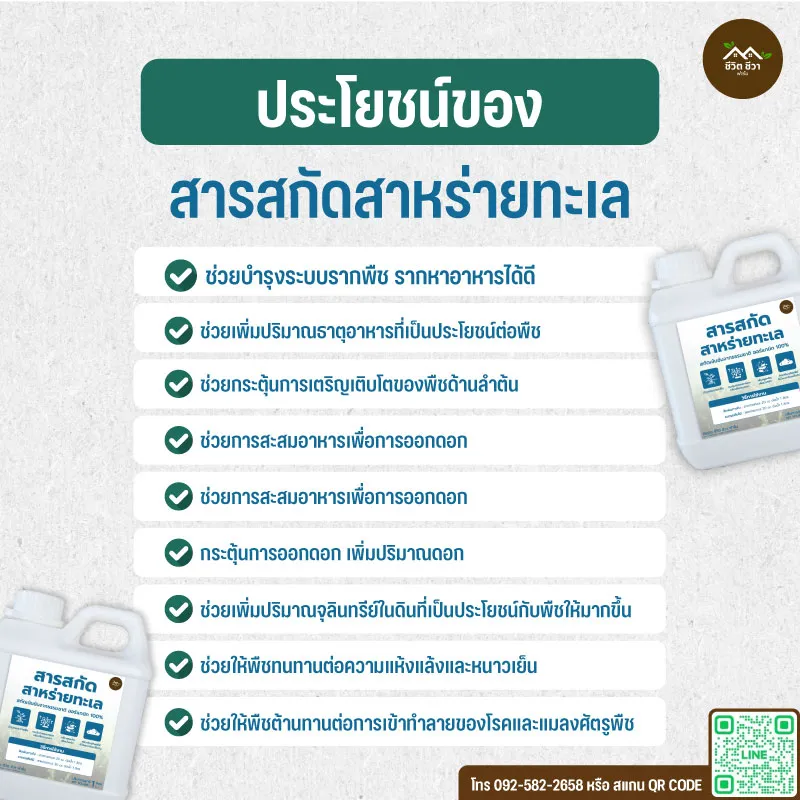 สารสกัดสาหร่ายทะเล