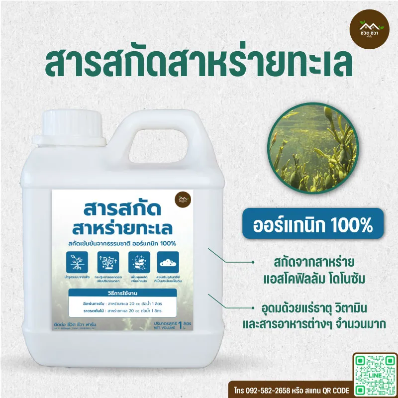 สารสกัดสาหร่ายทะเล