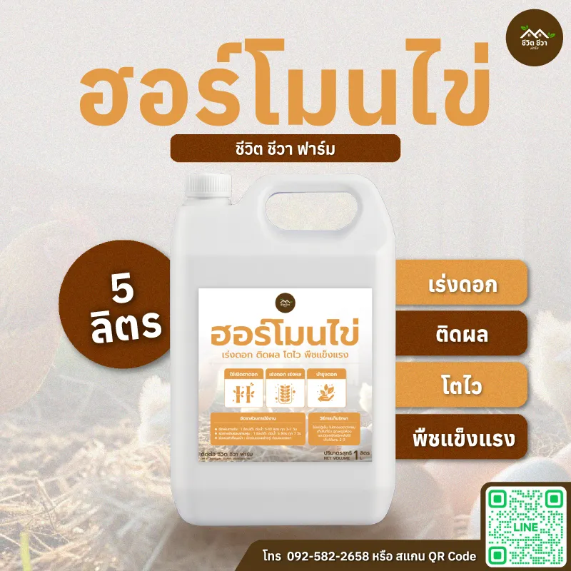 ฮอร์โมนไข่
