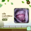 เมล็ดพันธุ์ กะหล่ำปลีสีม่วง