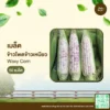 เมล็ดพันธุ์ ข้าวโพดข้าวเหนียว