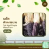 เมล็ดพันธุ์ ข้าวโพดตักหงายม่วง