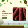 เมล็ดพันธุ์ ข้าวโพดอินเดีย