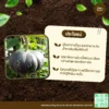เมล็ดพันธุ์ ฟักทองญี่ปุ่นผิวเขียว
