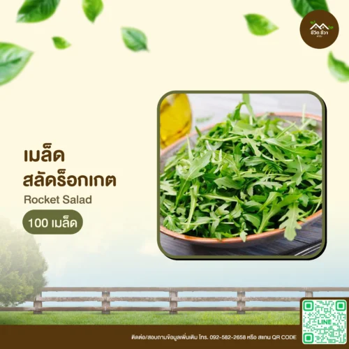 เมล็ดพันธุ์ สลัดร็อกเก็ต