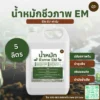 น้ำหมักชีวภาพ EM