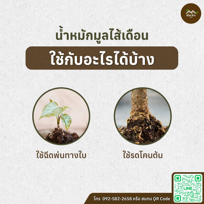 น้ำหมักมูลไส้เดือน