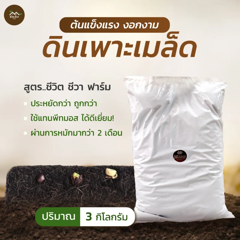 ดินเพาะเมล็ด