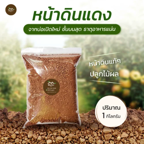 หน้าดินแดง