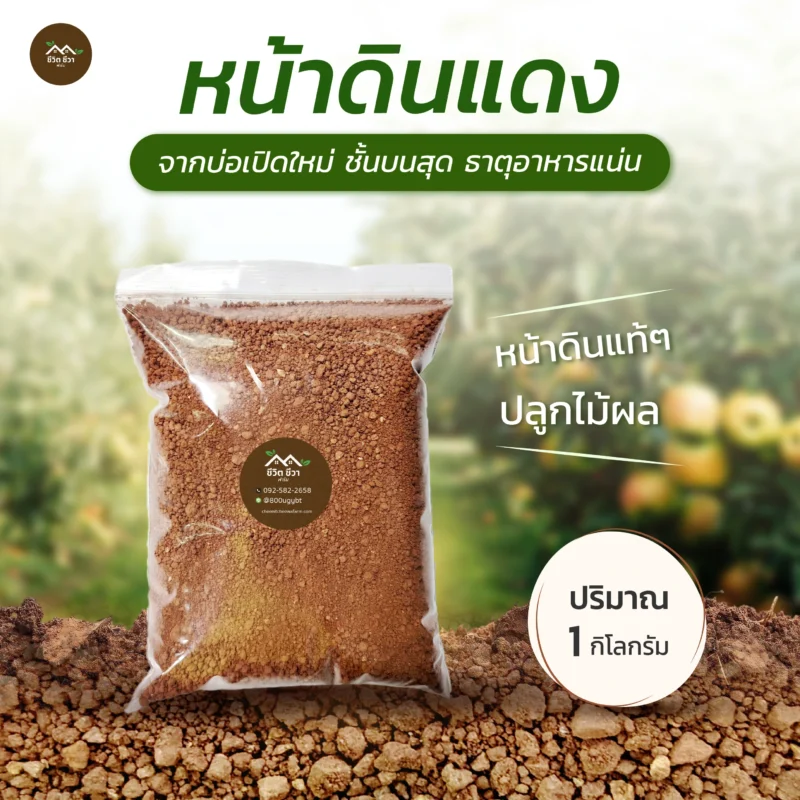 หน้าดินแดง