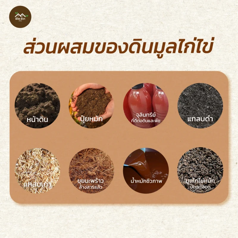 ดินมูลไก่ไข่