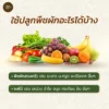 ดินมูลไก่ไข่