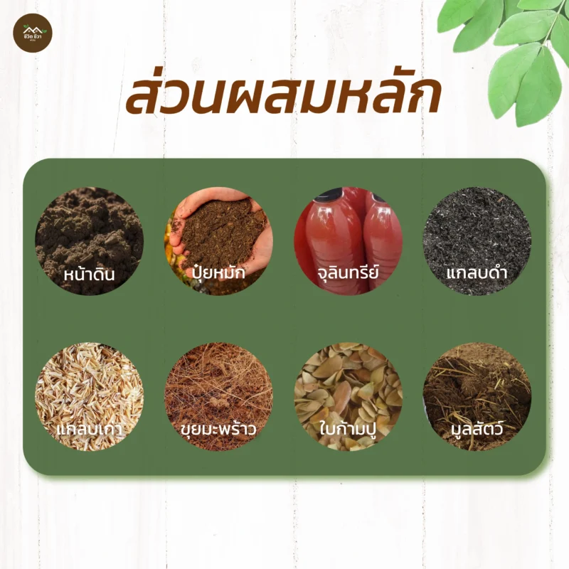 ดินหมักใบก้ามปู