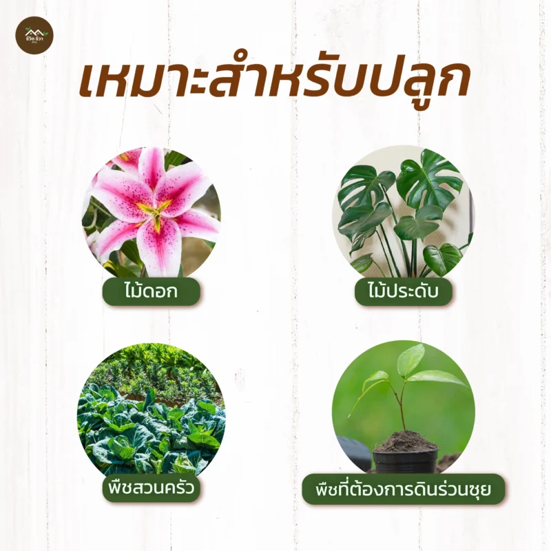 ดินหมักใบก้ามปู