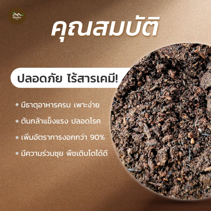 ดินเพาะเมล็ด