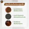 หน้าดินร่วน