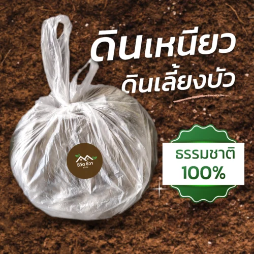 ดินเหนียว ดินเลี้ยงบัว