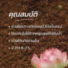 ดินเหนียว ดินเลี้ยงบัว