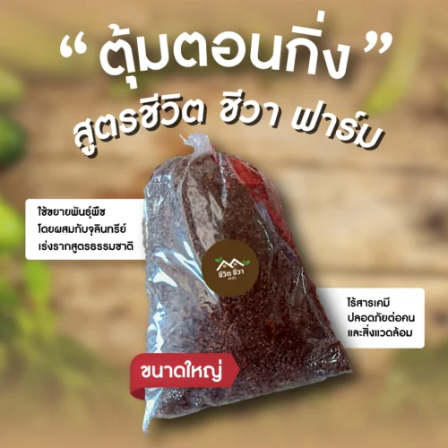 ตุ้มตอนกิ่ง