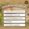 ตุ้มตอนกิ่ง