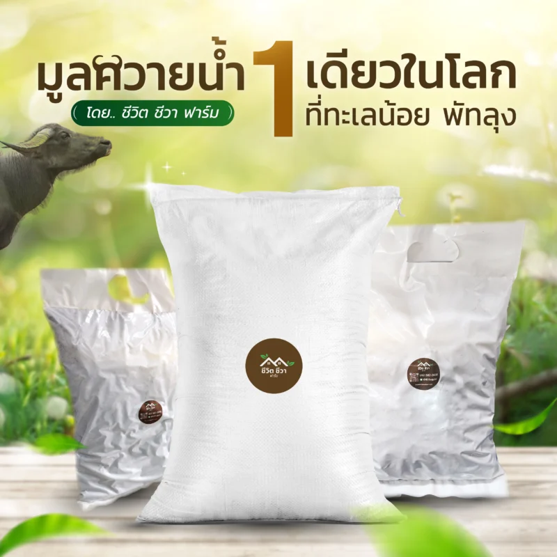 มูลควายน้ำ