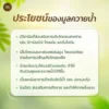 มูลควายน้ำ