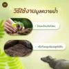 มูลควายน้ำ