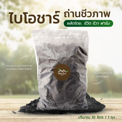 ไบโอชาร์ ถ่านชีวภาพ