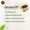 ไบโอชาร์ ถ่านชีวภาพ