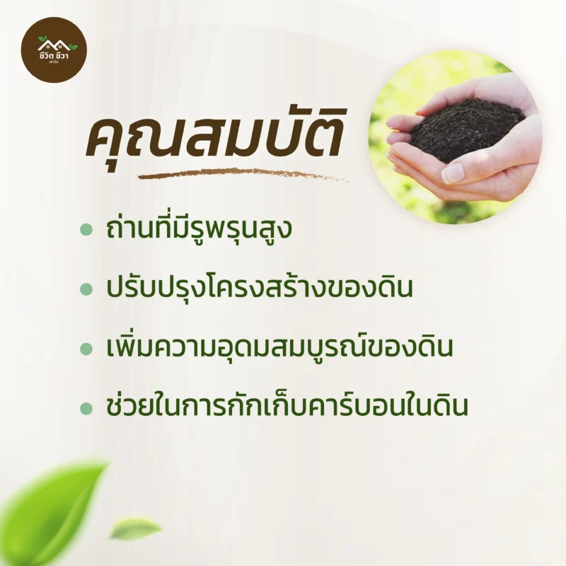 ไบโอชาร์ ถ่านชีวภาพ