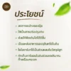 ไบโอชาร์ ถ่านชีวภาพ