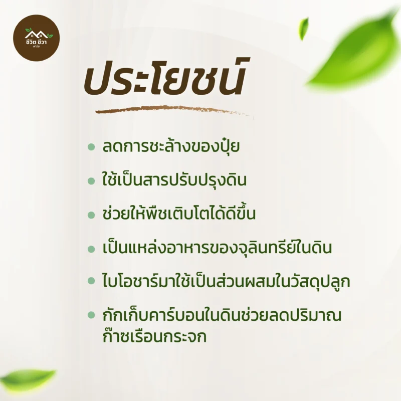 ไบโอชาร์ ถ่านชีวภาพ