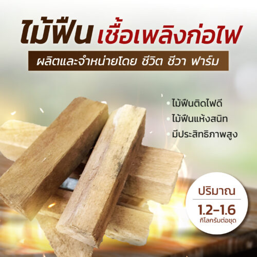 ไม้ฟืน เชื้อเพลิงก่อไฟ